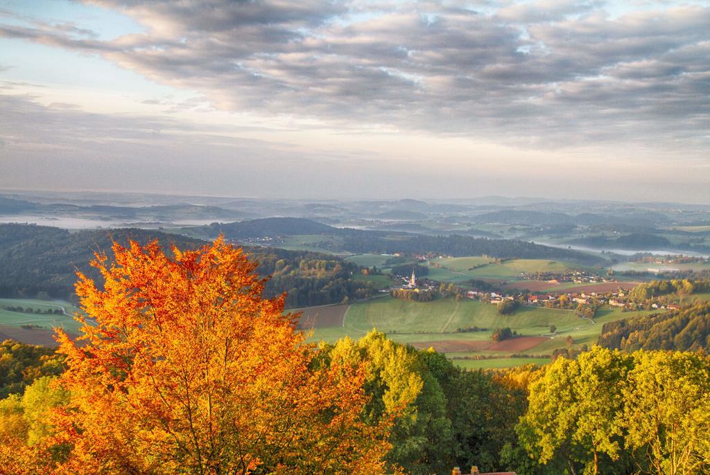 Ferienwohnungen-Bendler Freyung Quarto foto